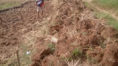 Petani Desa Margahayu Bangun Jalan Secara Swadaya