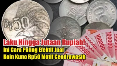 Cara Cepat Jual Uang Koin 50 Rupiah Gambar Cendrawasih, Mau Dapat Jutaan Rupiah? Ikuti Cara Ini