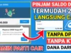 Pinjol Tanpa KTP Langsung Cair ke DANA Sudah Pasti di ACC, Cara Terbaru Cek Disini!