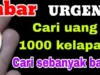 Uang Koin 1000 Kelapa Sawit Dihargai 14 Juta Per Kepingnya Seriusan!