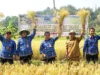 Pj Bupati Purwakarta Bersyukur Panen Raya di Tengah El Nino