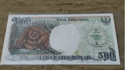 Evolusi Desain Uang Kuno 500 Rupiah Dari Candi Borobudur hingga Orang Utan