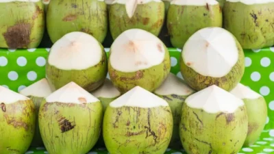 Manfaat Daging Kelapa Muda yang Harus Kamu Ketahui, Banyak Manfaatnya dan Mudah Ditemukan (image from Freepik topntp26)