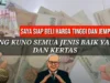 Cek Disini Daftar Kolektor Uang Kuno yang Sanggup Membayar dengan Harga Tinggi (image from screenshot YouTube kentus woii)