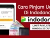 Indodana