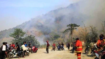 Dampak Cuaca Panas dan Kekeringan, Gunung Cengkik Hangus terbakar