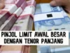 Pinjol Tanpa KTP dengan Tenor Panjang 1 Tahun Mudah Pencairannya