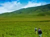 Gunung Bromo Hijau Kembali Setelah Kebakaran Hebat