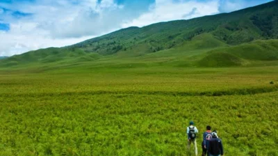 Gunung Bromo Hijau Kembali Setelah Kebakaran Hebat