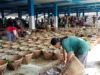 Produksi Ikan di Subang Tinggi, Tapi Konsumsi Masyarakatnya Rendah