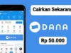 Pinjaman Saldo Dana Langsung Cair? Ini Tipsnya!