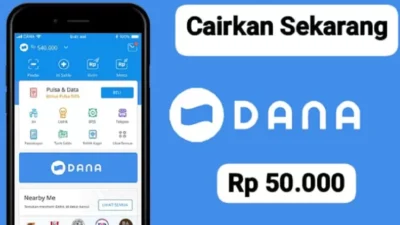 Pinjaman Saldo Dana Langsung Cair? Ini Tipsnya!