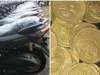 Uang Rp 500 Tahun 1992 Gambar Melati Dijual Setara 16 Unit Yamaha NMAX?