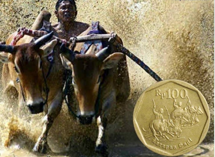 Harga Koin Rp 100 Karapan Sapi Jadi Salah Satu Incaran Kolektor ...
