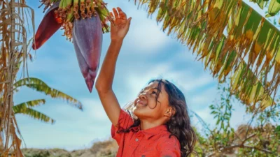 Temukan Manfaat Pohon Pisang yang Jarang Orang Tahu, Sangat Berguna (Image From: Pexels/Kindel Media)