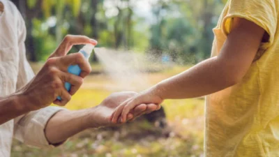 Rekomendasi Produk Pengusir Nyamuk yang Bisa Melenyapkan Makhluk Kecil yang Berbahaya ini (Image From: iStock)