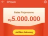 5 Cara Pinjam Uang di Shopee untuk Pemula