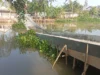 Belum Selesai Dibangun, Jembatan di Desa Sedari Karawang Ambruk