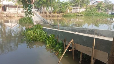 Belum Selesai Dibangun, Jembatan di Desa Sedari Karawang Ambruk