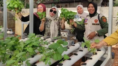 Tingkatkan Ketahanan Pangan, Desa Tamelang Galakkan Budidaya Sayur Hidroponik