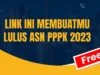 Link Soal Tryout PPPK Guru 2023 Kompetensi Teknis Gratis, Ingin Lolos? Pelajari Hal Ini