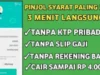 Pinjol di Saldo DANA Tanpa KTP Bayar Nanti, 1 Menit Bisa Berhasil!