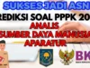 Kumpulan Soal dan Jawaban Kompetensi PPPK Teknis Analis SDM Aparatur, Pasti Keluar!