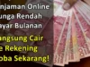 8 Pinjaman Online Langsung Cair dalam Hitungan Menit Bunga Rendah 2 Juta