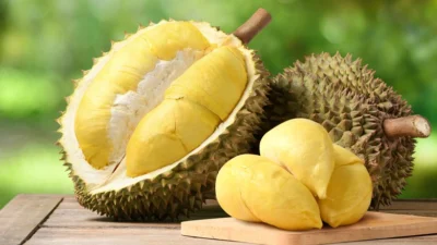 Tips Memilih Durian yang Manis dan Tebal, Perhatikan Hal ini