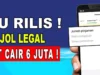 Aplikasi Pinjol Terpercaya dan Aman, Simak Tips Memilihnya!