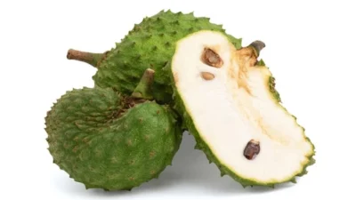 Cari Tahu 5 Manfaat Buah Sirsak yang Penting Untuk Kesehatan Tubuhmu (image from Google images)