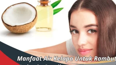 WOW! Khasiat Air Kelapa untuk Rambut dan Kulit Cek Disini Cara Menggunakannya