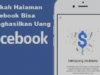 Cara Menghasilkan Uang dari Facebook Ads dan Live Gratis di 2023