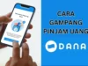 Cara Pinjam Uang di DANA Premium