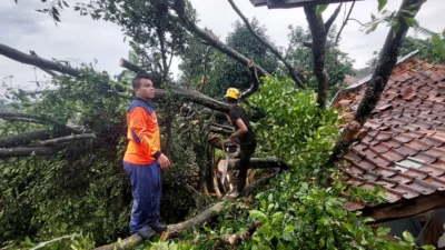 BPBD Catat 29 Bencana Alam dalam Beberapa Hari Terakhir