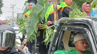 Wisudawan Fakultas Agrorektan Universitas Subang Bagi Ratusan Ikat Kangkung Gratis ke Warga 