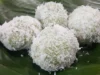 Coba Bikin Klepon Gula Putih Ini, Tidak Bocor