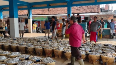 Belum Mencapai Target, Retribusi dari Tempat Pelelangan Ikan Kabupaen Subang Tembus Rp800 Juta