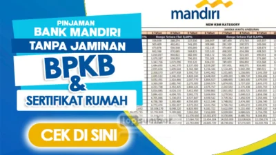 Pinjaman Online Bank Mandiri Langsung Cair