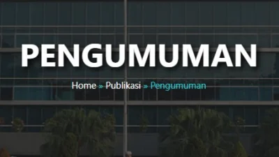 Link Pengumuman Hasil PPPK 2023. (Sumber Gambar: Screenshot via Website Resmi BKN)