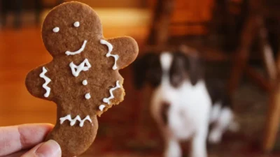 Resep Kue Jahe Natal yang Mudah Dibuat, Ciptakan Natal yang Meriah (Image From: Pexels/Noelle Otto)