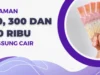 Pinjaman Online 300 Ribu Tanpa KTP Langsung Cair