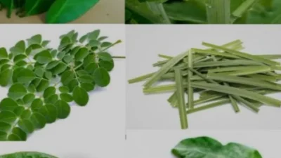 Kesehatan Jantung! 3 Resep Daun Penurun Kolesterol yang Lezat