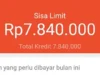 Cara Menaikkan Limit Shopee PayLater