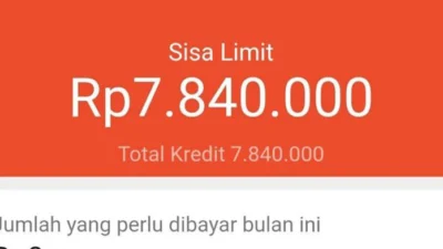 Cara Menaikkan Limit Shopee PayLater