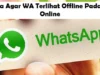 Cara Agar WA Terlihat Offline Padahal Online