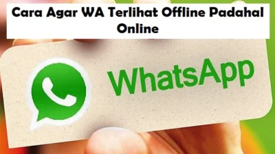 Cara Agar WA Terlihat Offline Padahal Online