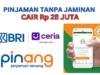 Pinjaman Online yang Gampang Cair Terbaru