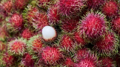 5 Manfaat Buah Rambutan untuk Kesehatan yang Jarang Kita Ketahui (image from Freepik freestockcenter)