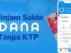 Pinjam Saldo DANA Tanpa KTP, Mudah dan Cepat